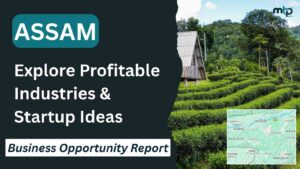 Top business opportunities in Assam