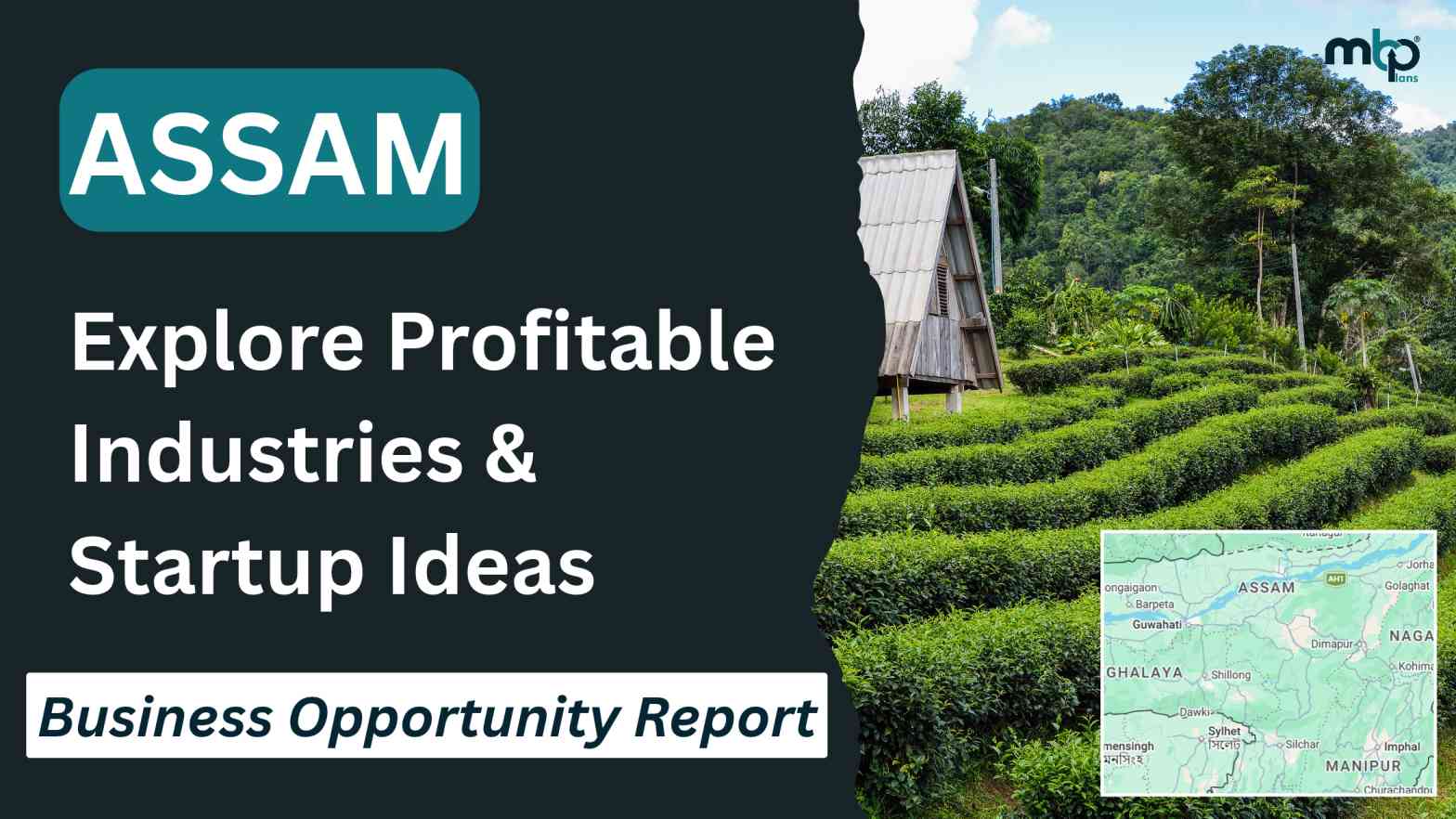 Top business opportunities in Assam